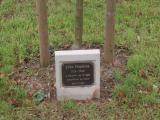 image of grave number 931286